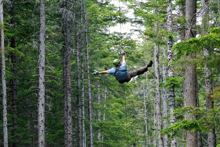 Grizzly Falls Ziplining Expedition - Photo 1 of 13